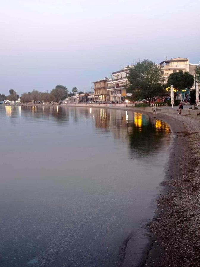 Cozy In Nea Palatia-oropos * Oropos