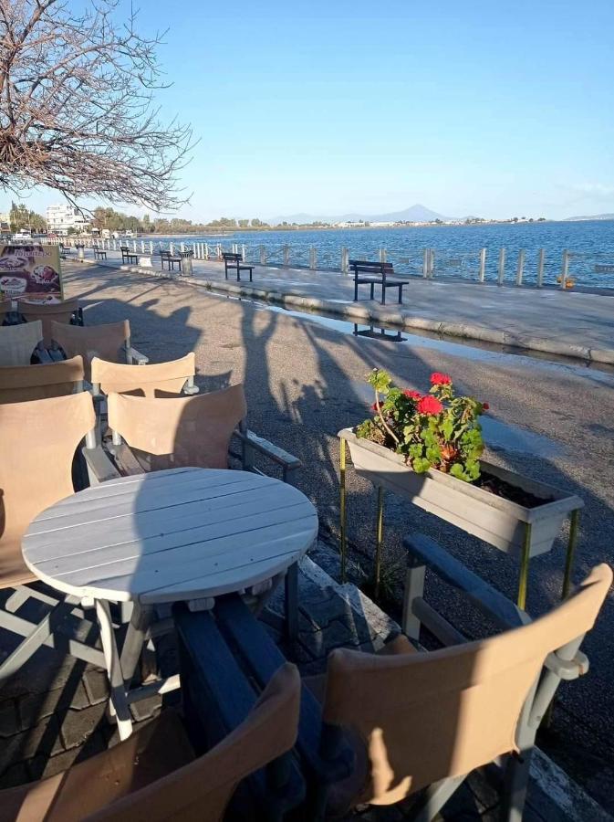 Cozy In Nea Palatia-oropos * Oropos