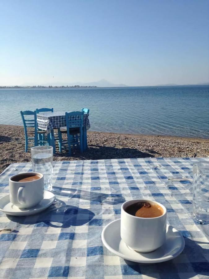 Cozy In Nea Palatia-oropos * Oropos